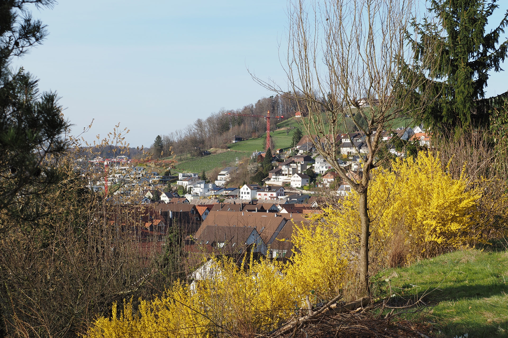 Hochaufgelöste Aufnahme aus freier Hand, ganzes Bild, M.Zuiko 40-150mm, 40 mm, P, f/6.3, 1/400 sec., ISO 200, WB Sonnig.