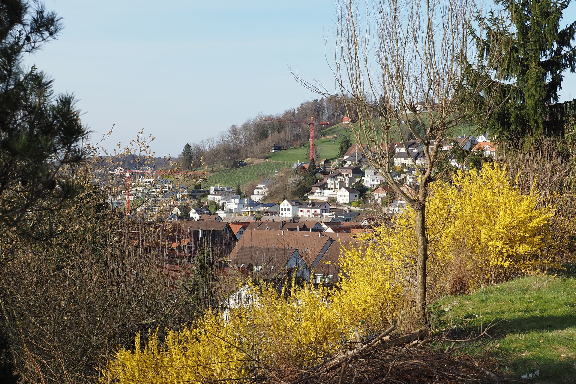 Normale Aufnahme aus freier Hand, ganzes Bild, M.Zuiko 40-150mm, 40 mm, P, f/6.3, 1/400 sec., ISO 200, WB Sonnig.