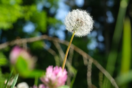 Brennweite 59 mm (KB), 1/24000 sec., f/5.6, ISO 160, WB sonnig.