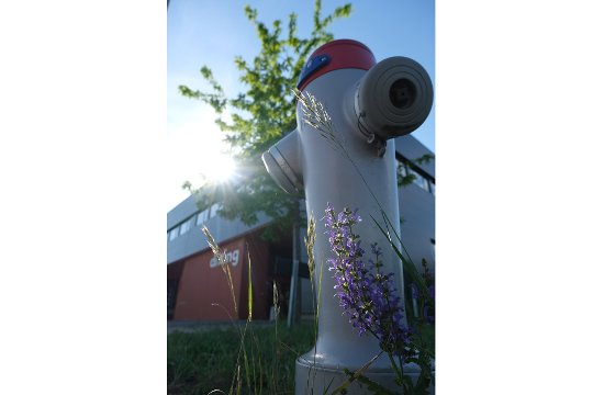 Brennweite 24 mm (KB), 1/450 sec., f/5.6, ISO 160, WB sonnig.