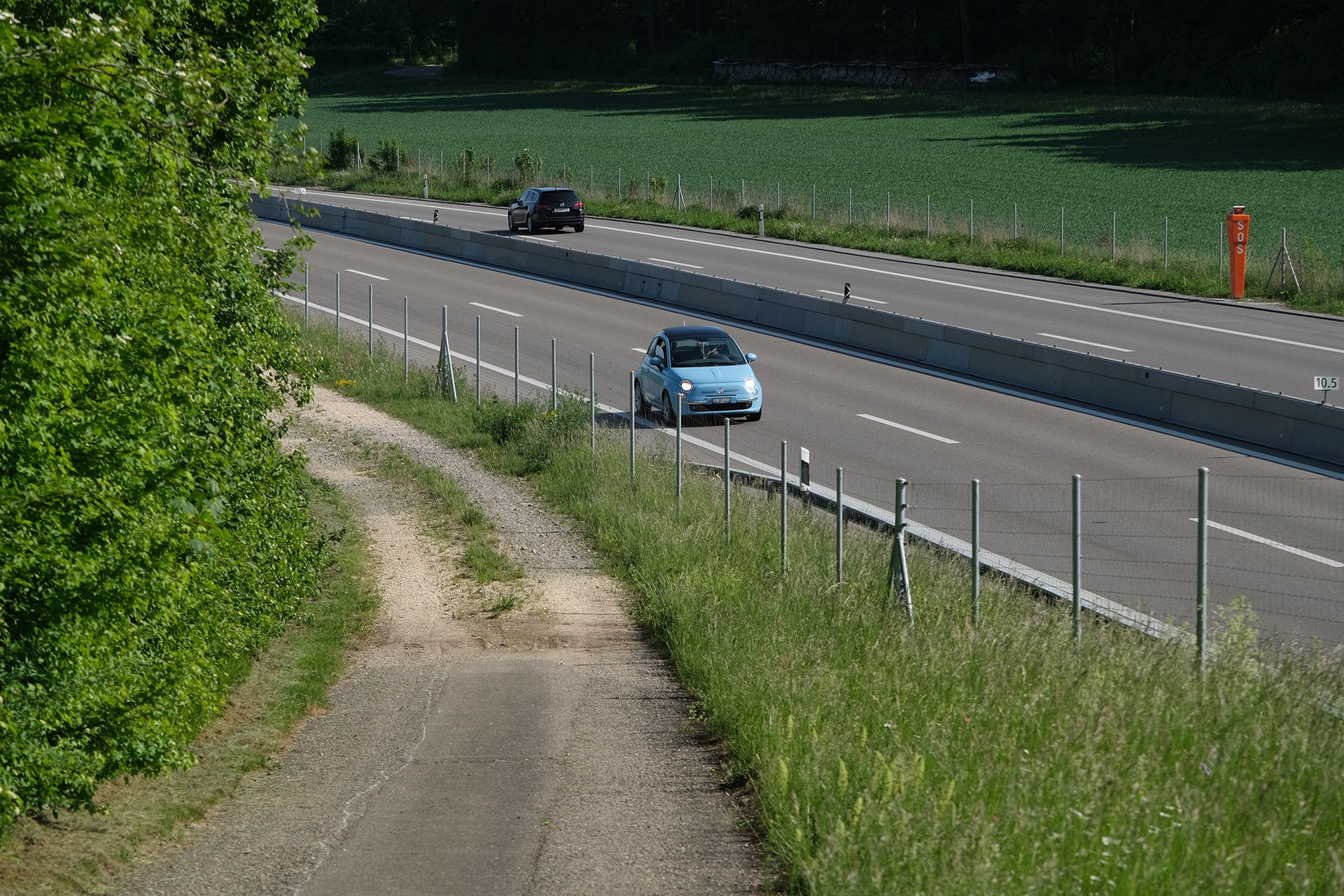 Brennweite 120 mm (KB), 1/640 sec., f/5.6, ISO 160, WB sonnig.