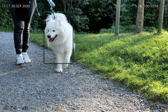 Hundekörper-Erkennung.