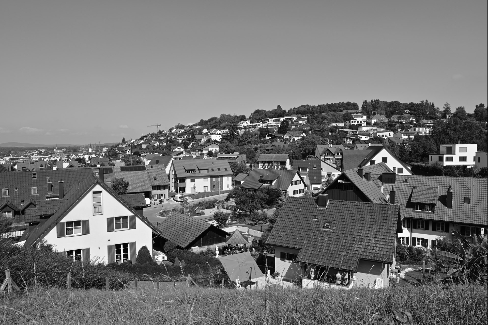 Picture-Control «Monochrom»