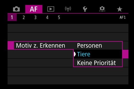 Untermenü Autofokus: Priorität Motiv-Erkennung.