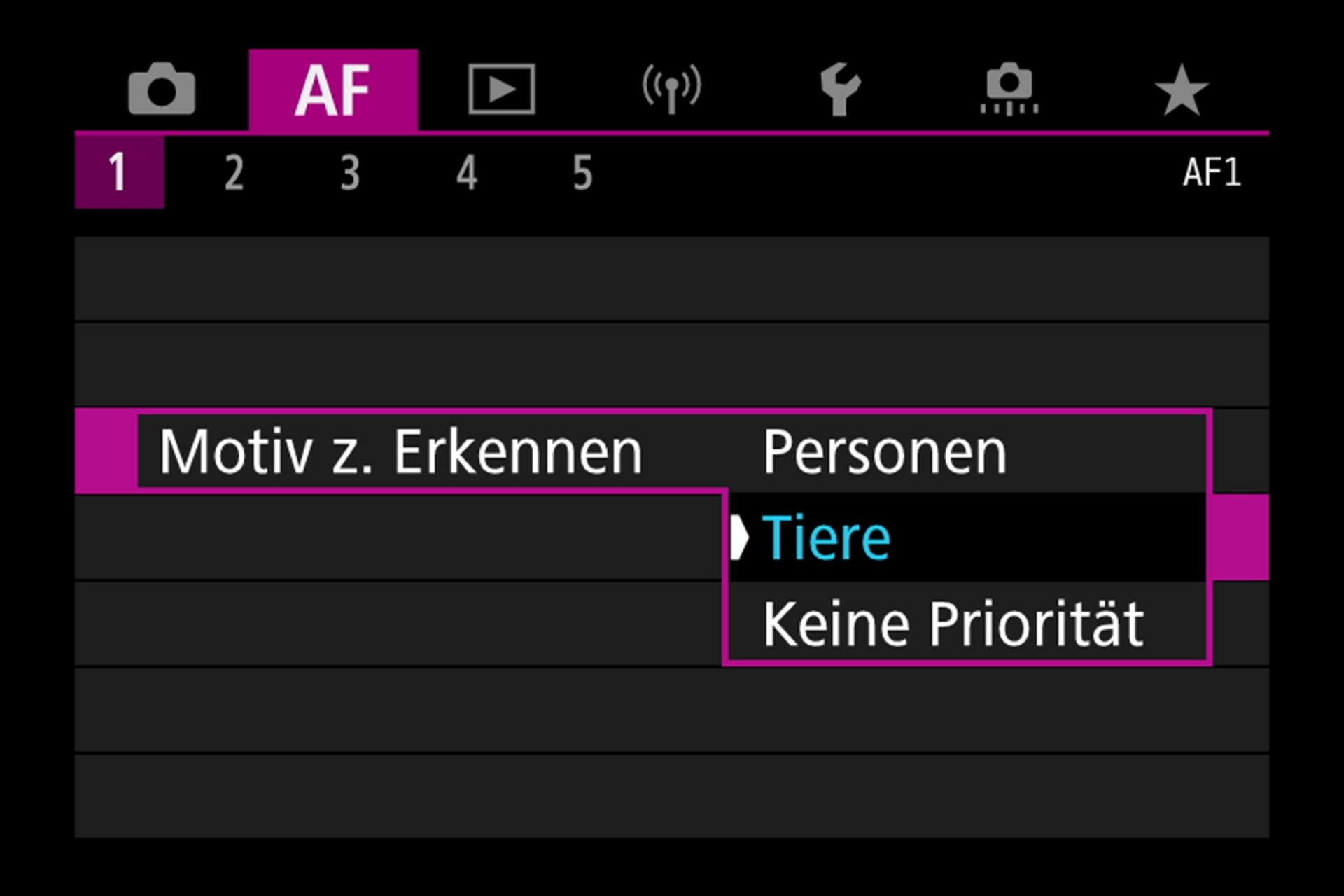 Untermenü Autofokus: Priorität Motiv-Erkennung.