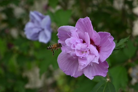 Z DX 16-50mm, Brennweite 43 mm, M, f/6.3, 1/500 sec., ISO 320, WB Wolken, Szenentyp Standard