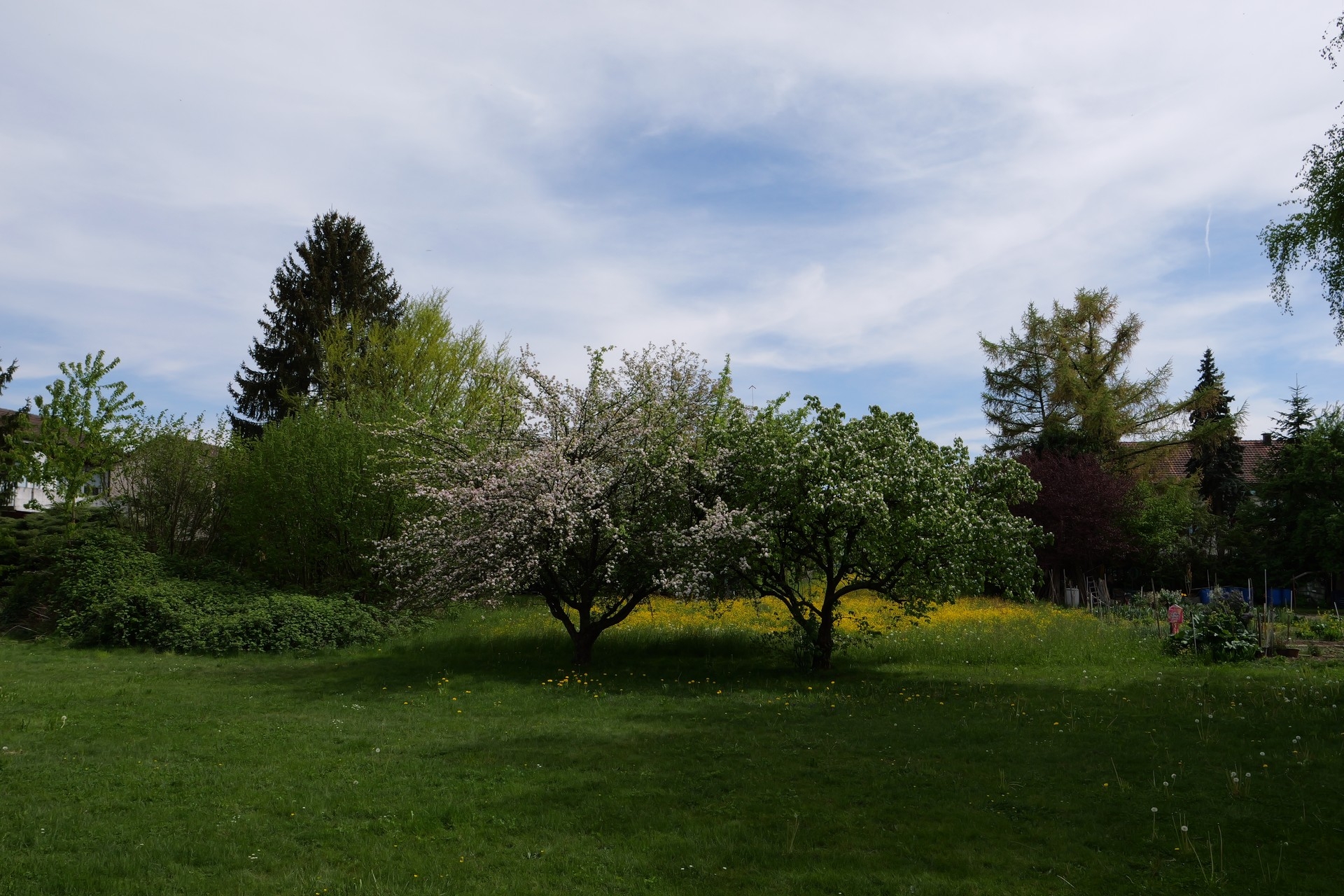 Leica DG 12-60 mm, BW 12 mm, M, f/8.0, 1/320 sec., ISO 125, WB Sonne.