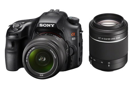 Die Sony Alpha SLT-A65V	ist das günstigere Modell mit 24,3 Mpx-Fotosensor in der Grösse von 23.4 x 15.6 mm. 
Sie schiesst Serienbilder mit bis zu 10 fps. Die A65V verfügt üner einen hochklappbaren 3.0-Zoll-LCD mit 921'000 Bildpunkten und einem hoch auflösenden elektronischen OLED-Sucher mit 2,3 Millionen Bildpunkten. Wie die A77V ist auch sie mit einem GPS-Empfänger ausgestattet, mit dem Fotos und Videos mit den Koordinaten des Aufnahmeortes verschlagwortet werden.