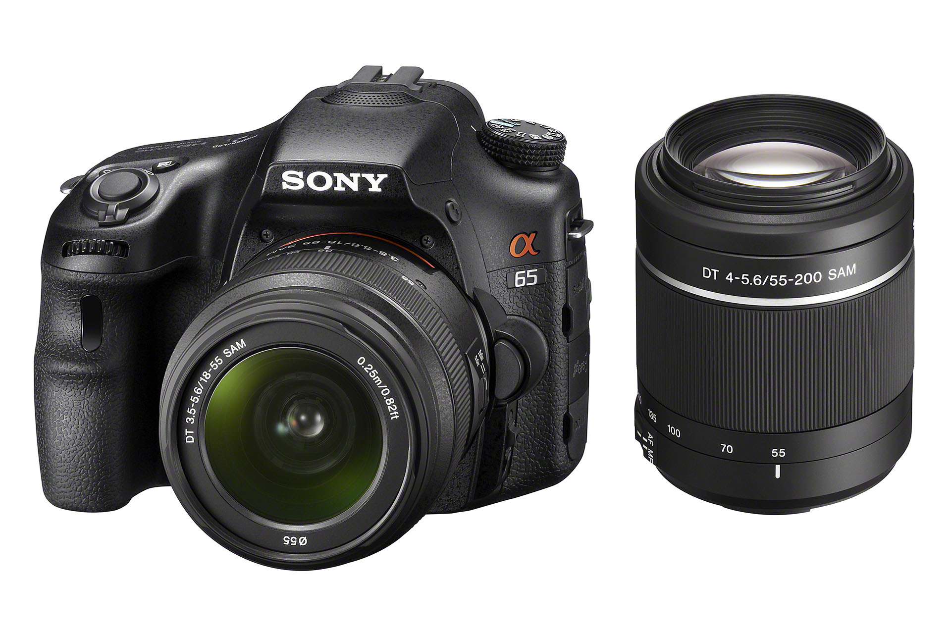 Die Sony Alpha SLT-A65V	ist das günstigere Modell mit 24,3 Mpx-Fotosensor in der Grösse von 23.4 x 15.6 mm. 
Sie schiesst Serienbilder mit bis zu 10 fps. Die A65V verfügt üner einen hochklappbaren 3.0-Zoll-LCD mit 921'000 Bildpunkten und einem hoch auflösenden elektronischen OLED-Sucher mit 2,3 Millionen Bildpunkten. Wie die A77V ist auch sie mit einem GPS-Empfänger ausgestattet, mit dem Fotos und Videos mit den Koordinaten des Aufnahmeortes verschlagwortet werden.