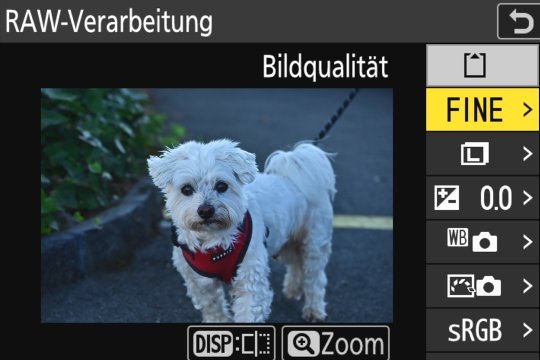 Nikon Z 8 RAW-Bearbeitung 1: Direkt in der Kamera lassen sich viele Bildparameter nachträglich anpassen.