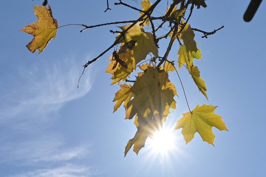 Z 40 mm, Brennweite 40 mm, M, f/14.0, 1/320 sec., ISO 100, WB Sonne, «Picture Profile» Neutral.