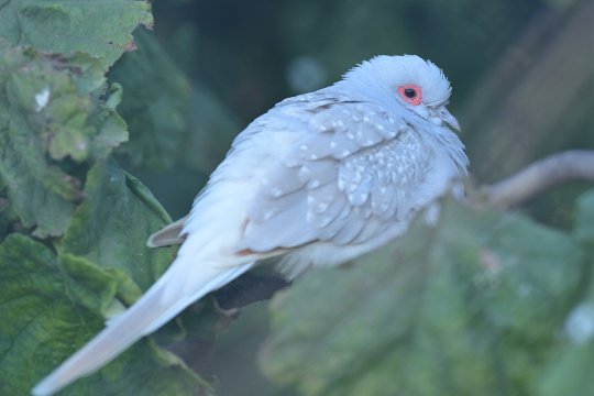 Z 70-200 mm, Brennweite 200 mm, M, f/3.5, 1/200 sec., ISO 400, WB Sonne, «Picture Profile» Neutral.