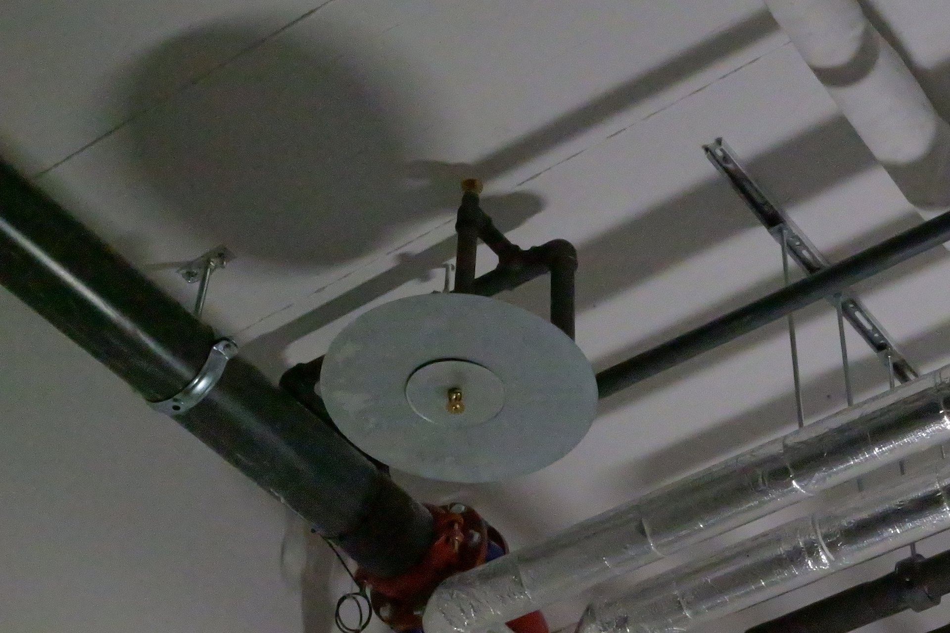 ISO 16000, Leica DG 12-60 mm, BW 28 mm, M, f/22.0, 1/125 sec., ISO 16000, WB Auto, Bildstil Standard, Rauschunterdrückung Standard.