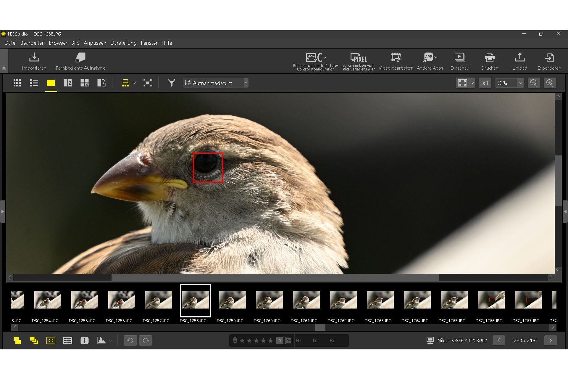 Bei genügend grosser Abbildung wird mit der Tier-Motiverkennung der Nikon Z6 III auch beim kleinen Spatz das Auge meistens erkannt und fokussiert.