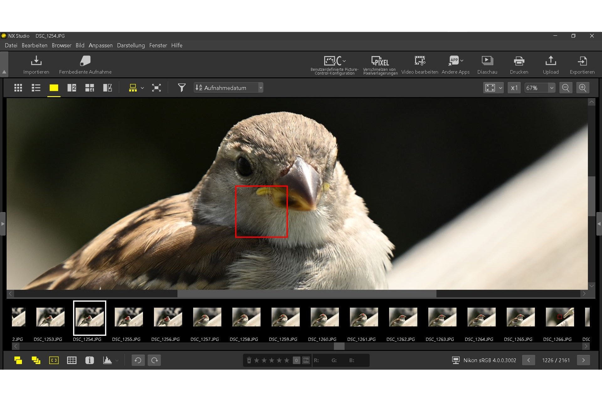 Trotz Tier-Motiverkennung hat die Nikon Z6 III manchmal etwas Probleme mit der Augenerkennung.