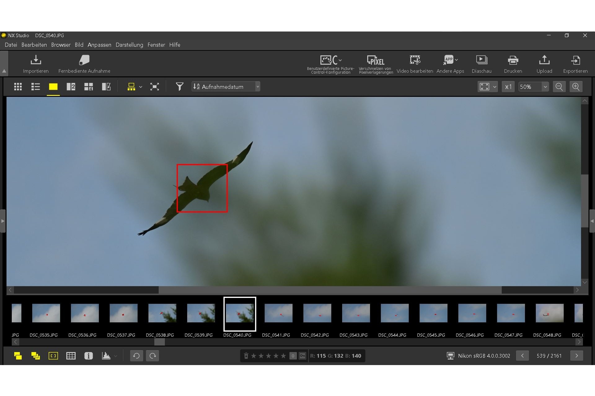 Tier-Motiverkennung und AF-Tracking: Die Nikon Z6 III verfolgt den Vogel auch durch Blätter und Äste hindurch