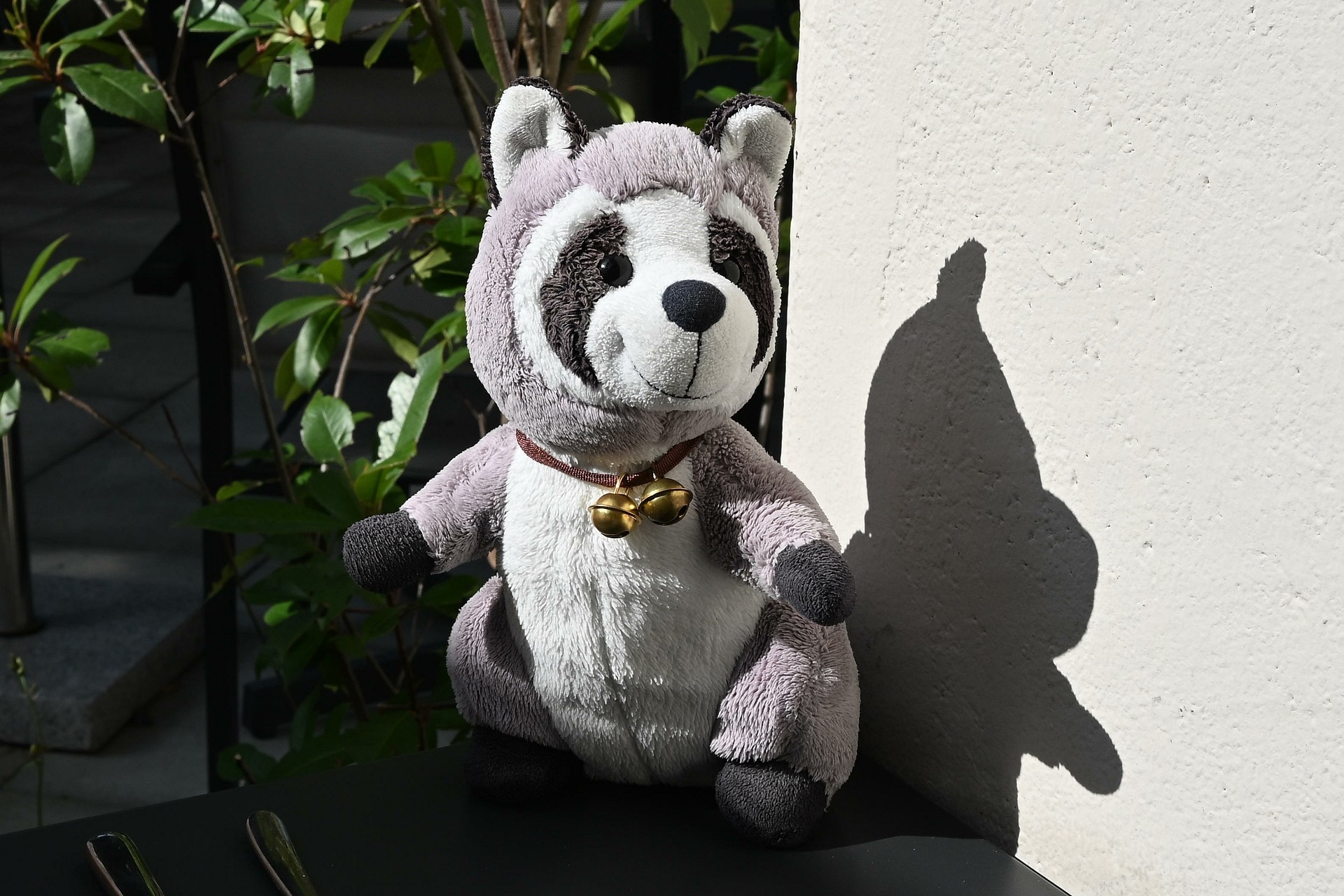 Nikon Z6 III, Z 14-30 mm, Brennweite 30 mm, Auto, f/16, 1/250 sec., ISO 200, WB Auto, «Picture Profile» Auto.