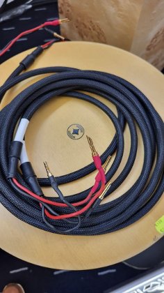 O2A Experience-Lautsprecherkabel