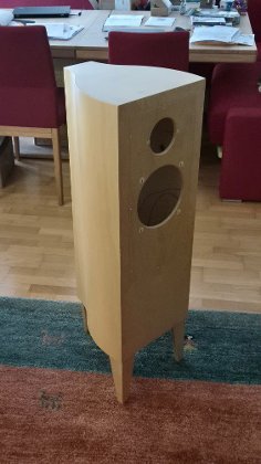 Schöne Resonanzgehäuse