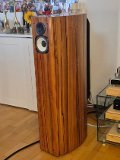 Horning Eufrodite Ellipse PM65