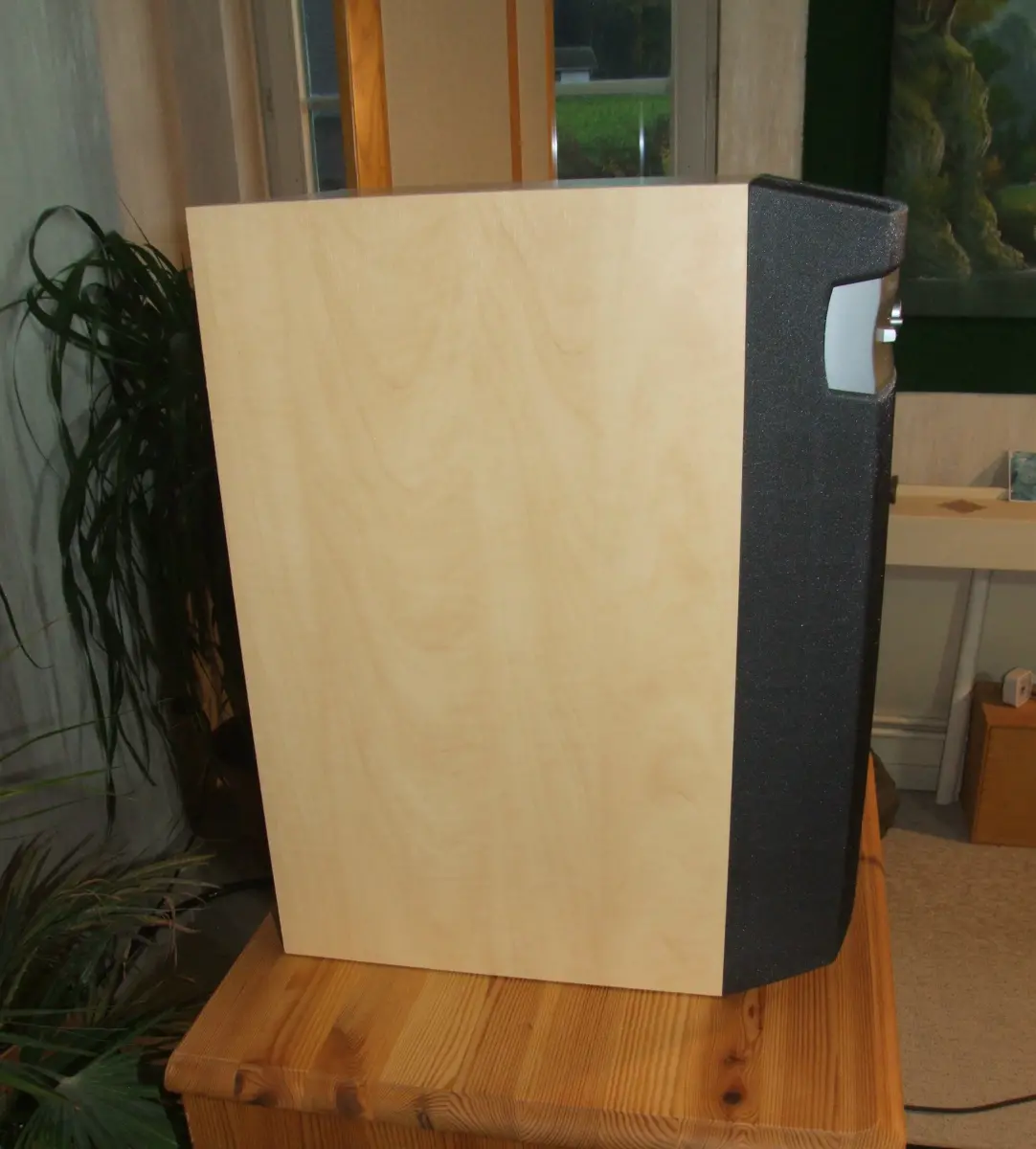 Subwoofer Pioneer S-W80