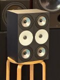 Amphion Two15 - Paar