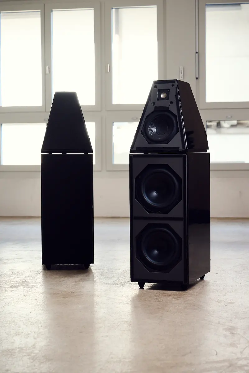 Wilson Audio Watt / Puppy 5.1