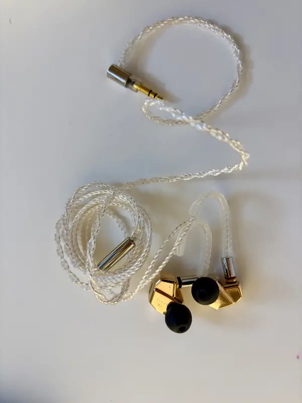 Final Audi B1 IEMs in Gold