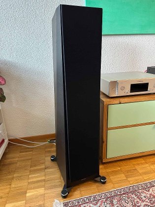 Paradigm Founder 100F in "Schwarz Walnuss" - fast neu