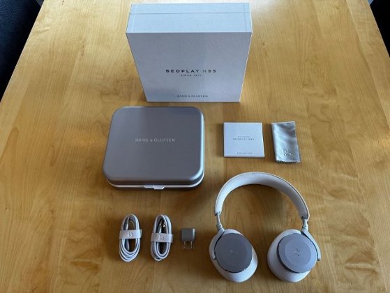 Bang & Olufsen Beoplay H95