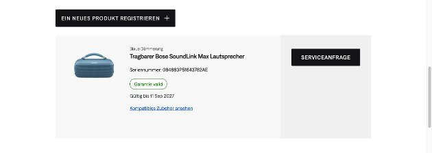Bose Sound Link Max