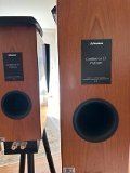 SUPER DYNAUDIO C1 PLATINUM