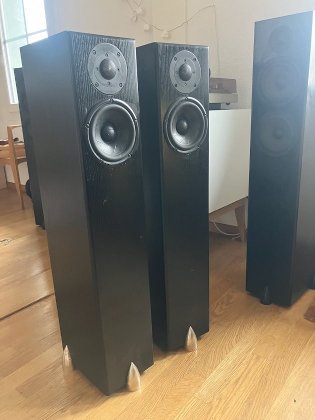 Totem Acoustics Hawk Lautsprecher