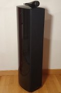B&W 804 Diamond D2 Lautsprecher (optisch u. technisch Top)