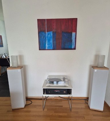 Verkauf 2 Rowen S4 Standlautsprecher einschl. Kabel