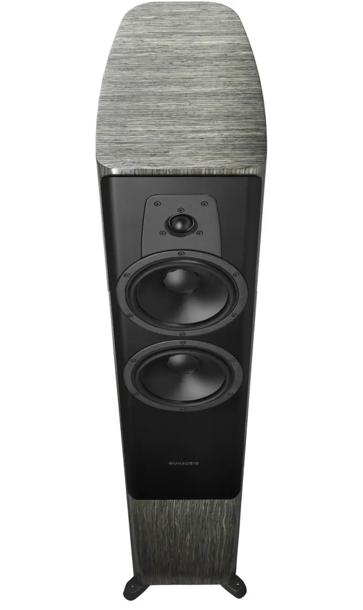 Dynaudio Contour 30 - NP 7'700.-