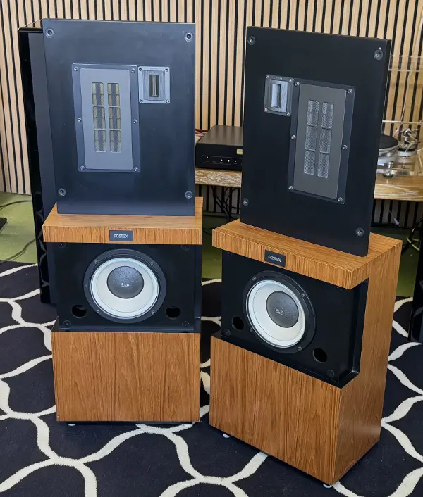 Fostex GZ 1001