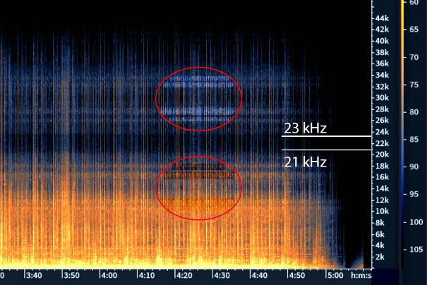 Anomalien im Spektrum: Das «Loch» zwischen 21 kHz und 23 kHz stammt vom Alising-Filter (notwendig für die Funktion des 16/44.1 Formats). Die rot eingekreisten, hervorgehobenen Bereiche sind weitere Anzeichen für hinzugerechnete Frequenzanteile (Fake).