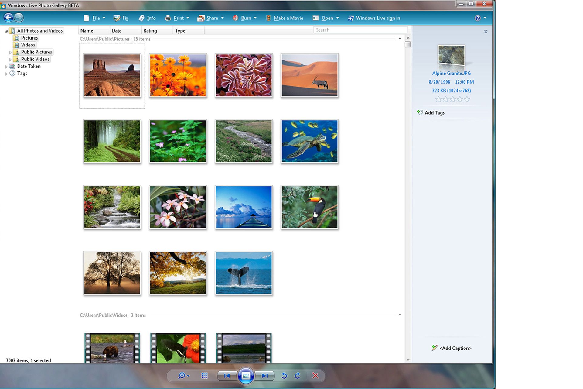 Windows live профили. Фотоальбом Windows. Фотоальбом Windows Live. Windows photo Gallery. Майкрософт галерея.
