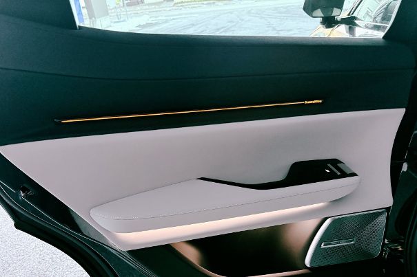 Auch im Fond betrieb Polestar mit Bowers & Wilkins zünftigen Klangaufwand.