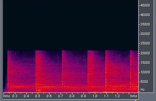 Oben eine Aufnahme kodiert als MP3 mit hohen Qualitätseinstellungen. Aus der Abbildung ist zu erkennen, dass Frequenzbereiche ab 22,05kHz abrupt abgeschnitten sind. Die Abspielqualität dieser Aufnahme könnte Sie bereits zufriedenstellen.