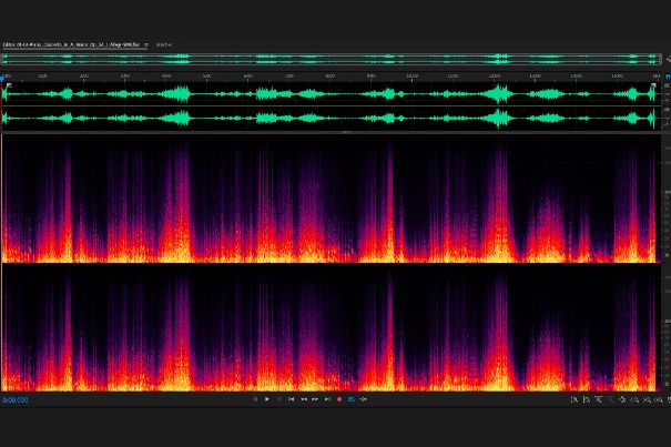 Das Album ist bei Qobuz als Download und Stream im 192-kHz-Format verfügbar. Es hat die für ein Klassikalbum typische spektrale Verteilung, mit einem Frequenzspektrum bis rund 45 kHz, ohne nennenswerte Anomalien. Abbildung: Schumann, OP. 54, 1. Satz.