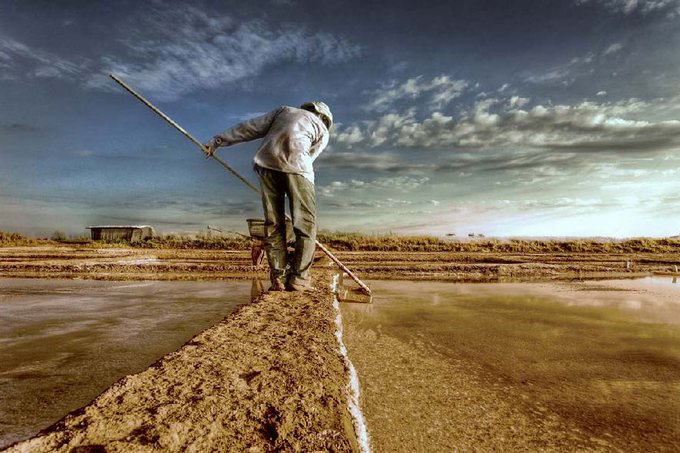 Lumix Award Siegerfoto 2010/2011 von Guillaume Maison aus Frankreich Thema: „Work.Life”