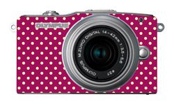 Skin der Olympus Pen