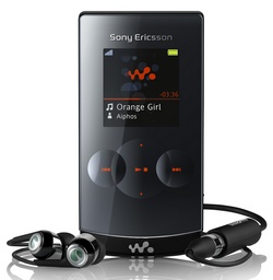 Walkman-Handy W980 mit 8 GB internem Speicher für bis zu 8000 Lieder