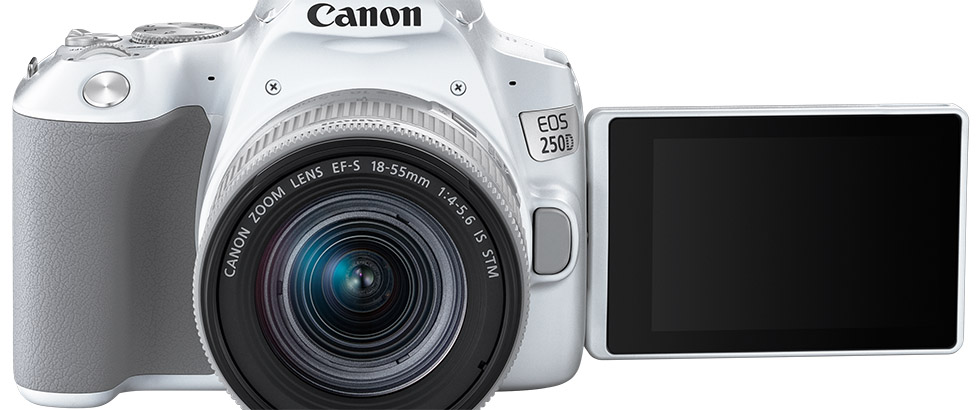 Neue DSLR mit Schwenk-Display: Canon EOS 250D