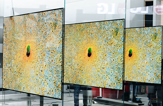LG Electronics präsentiert neue OLED-TVs