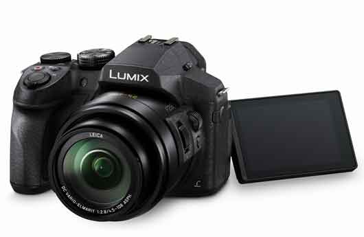 Lumix Bridge-Kamera FZ300