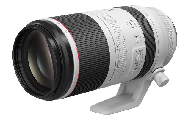 Das Canon RF 100–500 mm F4.5-7.1L IS USM ist ein kompaktes und vielseitiges Teleobjektiv und kommt in der bekannten weissen Optik der L-Serie.