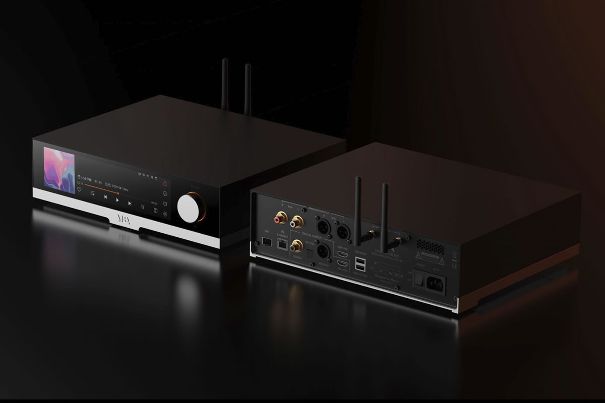 Analog über RCA und XLR, digital über Toslink, Koaxial und AES/EBU. Ganz links der SFP-Schacht des YBA YM302, über den die Netzwerkdaten als Licht statt als Strom ins Gerät kommen.